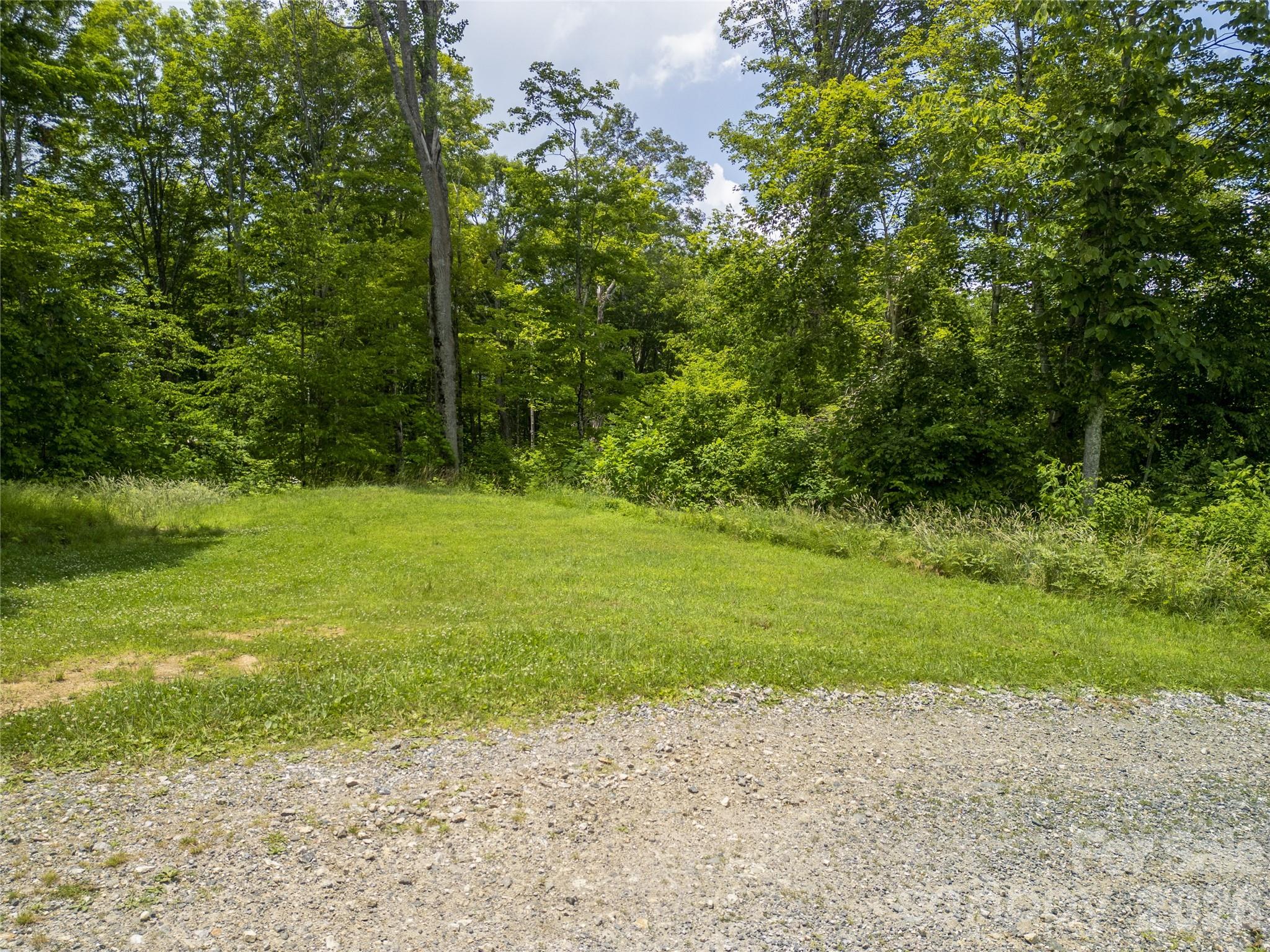 168 Smith Creek Road Mars Hill, NC 28754 - Photo 3 of 46