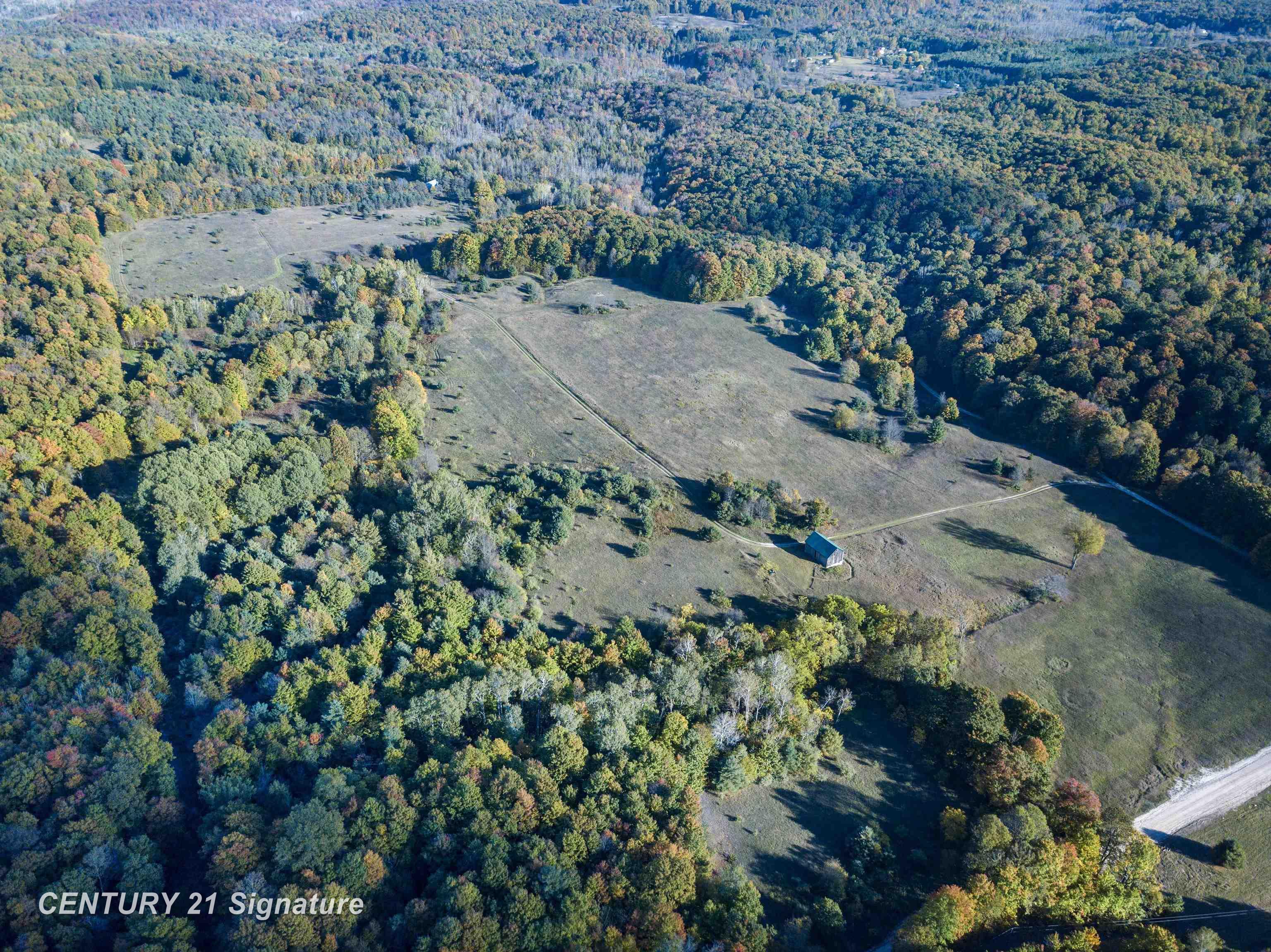 V/l Ritt Road Breckenridge, MI 48615 - Photo 2 of 11