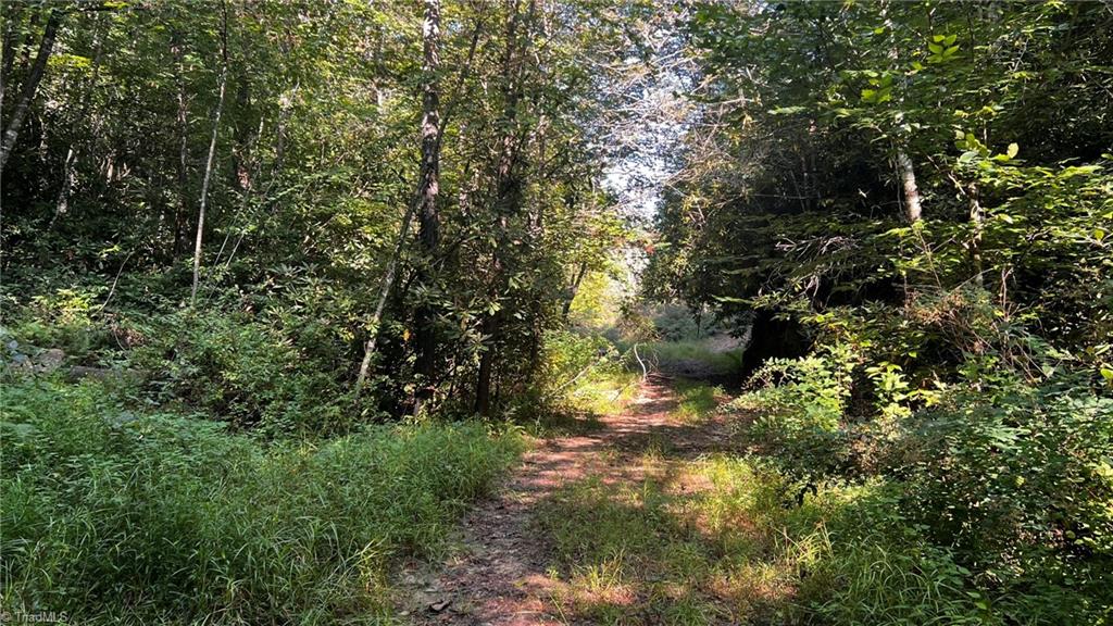 725 Caseys Branch Road Purlear, NC 28665 - Photo 11 of 30