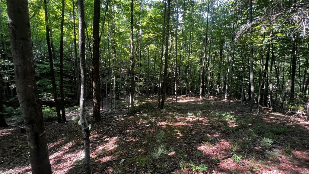 725 Caseys Branch Road Purlear, NC 28665 - Photo 12 of 30