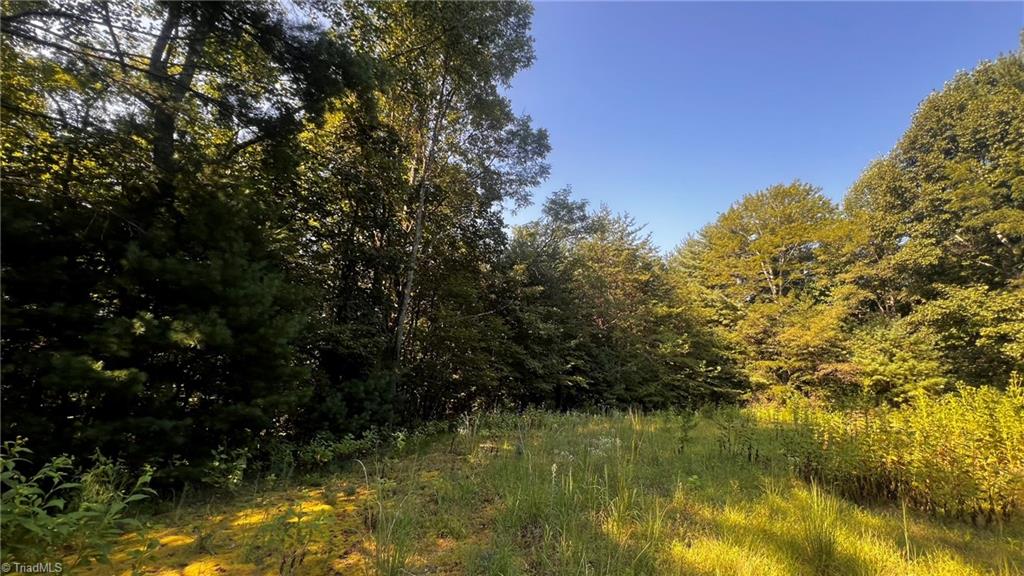 725 Caseys Branch Road Purlear, NC 28665 - Photo 13 of 30