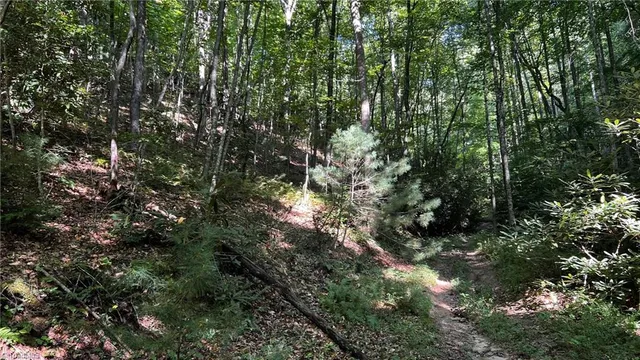 $921,000 | 725 Caseys Branch Road, Purlear, NC 28665