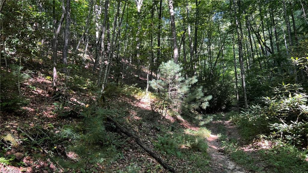 725 Caseys Branch Road Purlear, NC 28665 - Photo 14 of 30