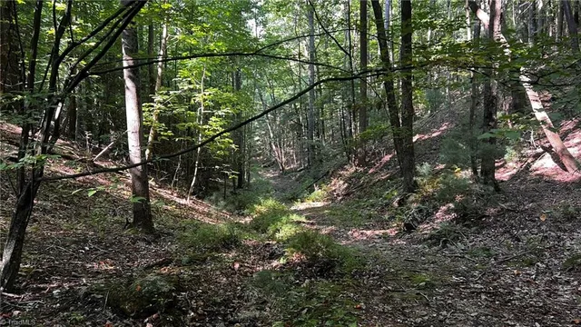 $921,000 | 725 Caseys Branch Road, Purlear, NC 28665