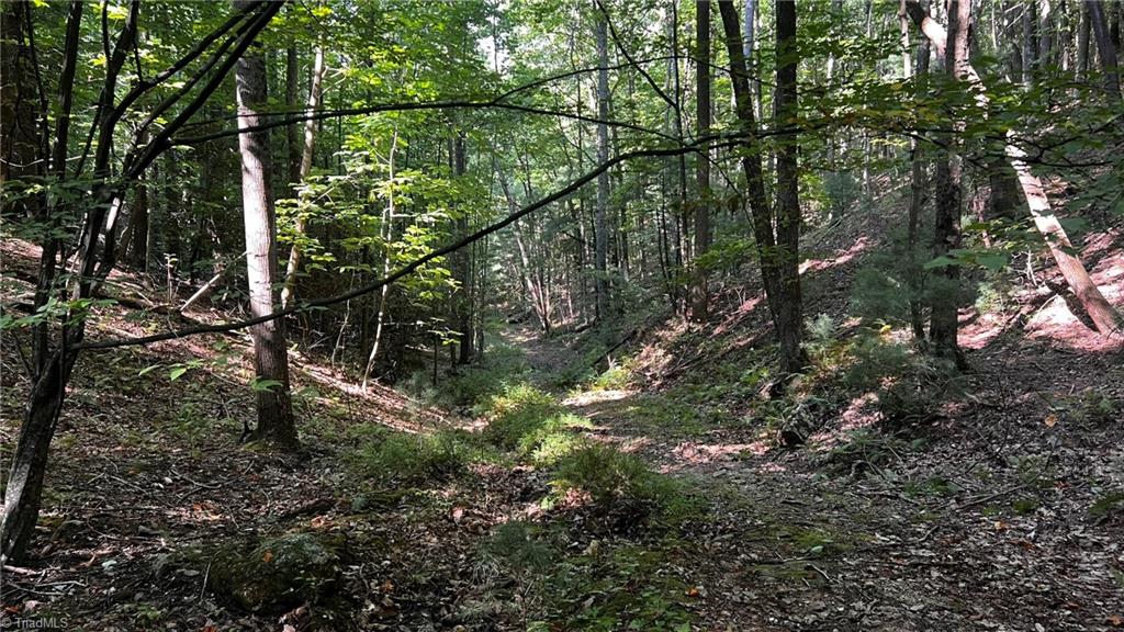 725 Caseys Branch Road Purlear, NC 28665 - Photo 16 of 30