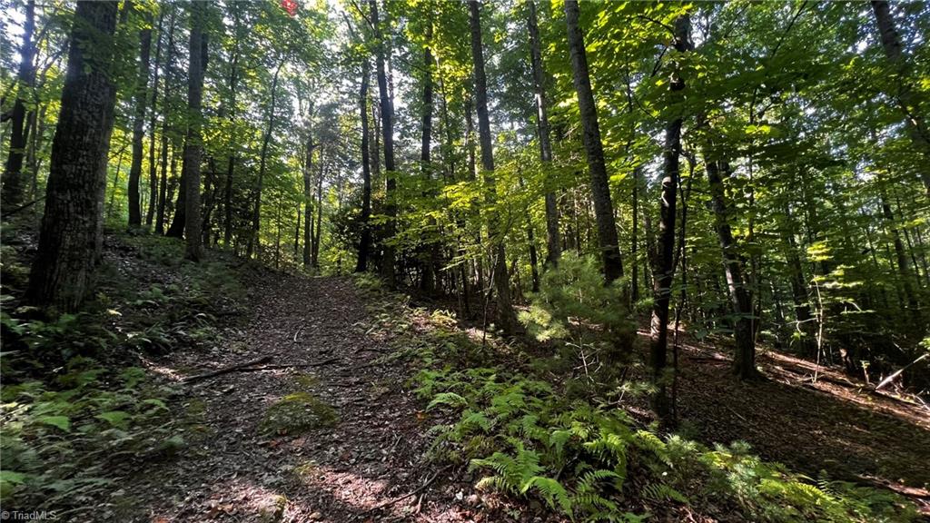 725 Caseys Branch Road Purlear, NC 28665 - Photo 17 of 30