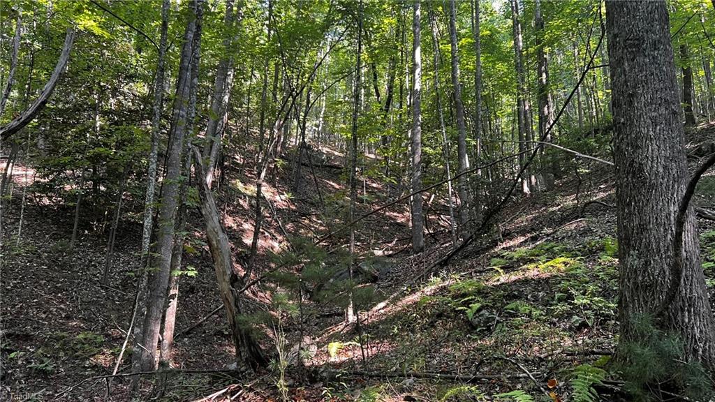 725 Caseys Branch Road Purlear, NC 28665 - Photo 18 of 30