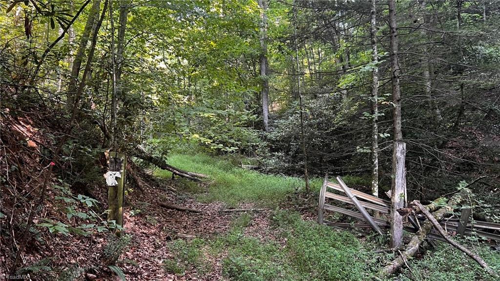 725 Caseys Branch Road Purlear, NC 28665 - Photo 20 of 30