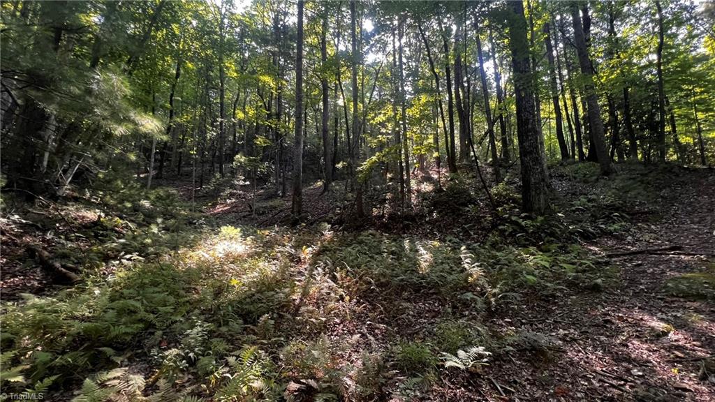 725 Caseys Branch Road Purlear, NC 28665 - Photo 22 of 30