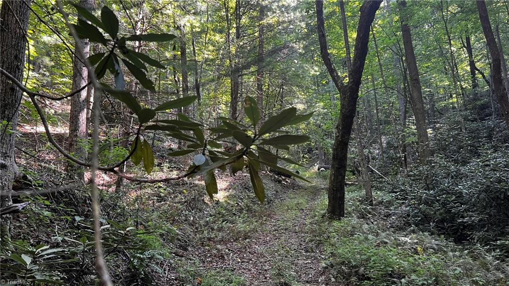 725 Caseys Branch Road Purlear, NC 28665 - Photo 24 of 30