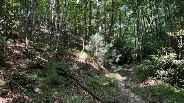 $921,000 | 725 Caseys Branch Road, Purlear, NC 28665