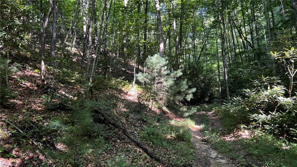 725 Caseys Branch Road Purlear, NC 28665 - Photo 27 of 30