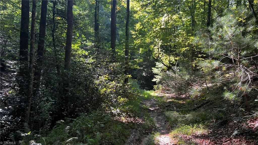 725 Caseys Branch Road Purlear, NC 28665 - Photo 28 of 30