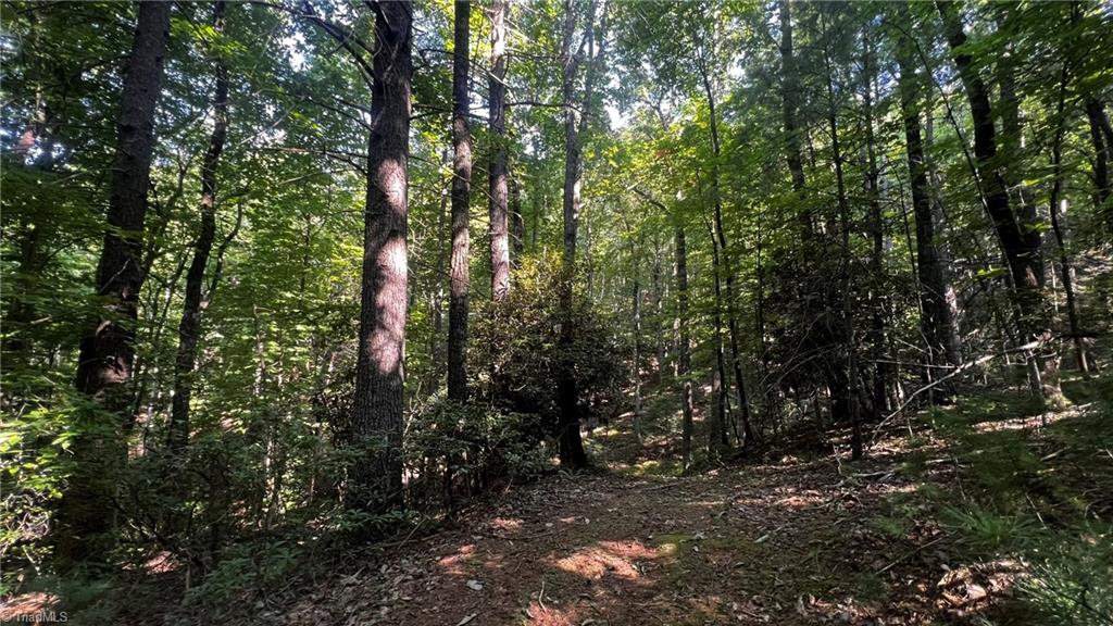 725 Caseys Branch Road Purlear, NC 28665 - Photo 29 of 30