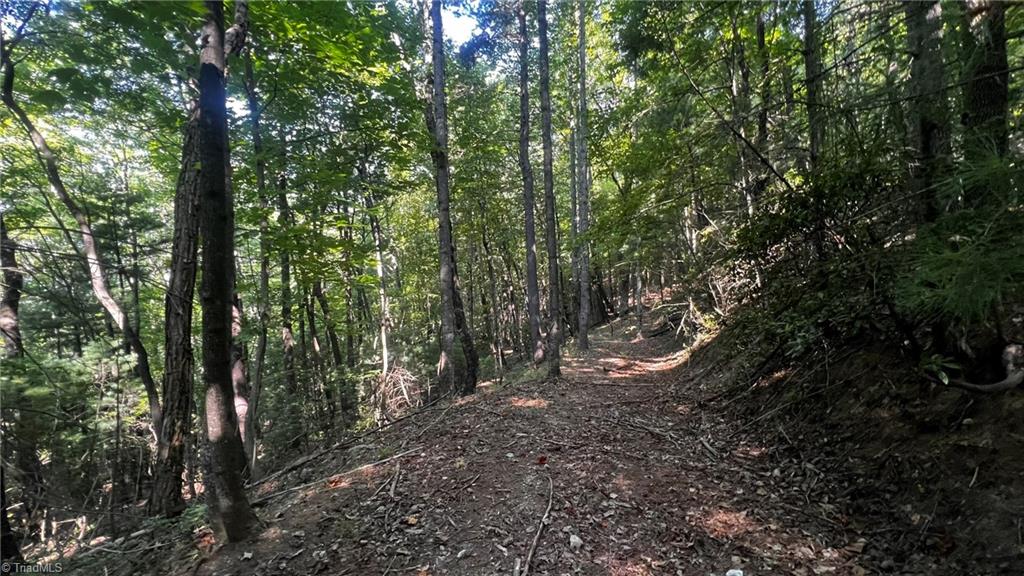 725 Caseys Branch Road Purlear, NC 28665 - Photo 30 of 30