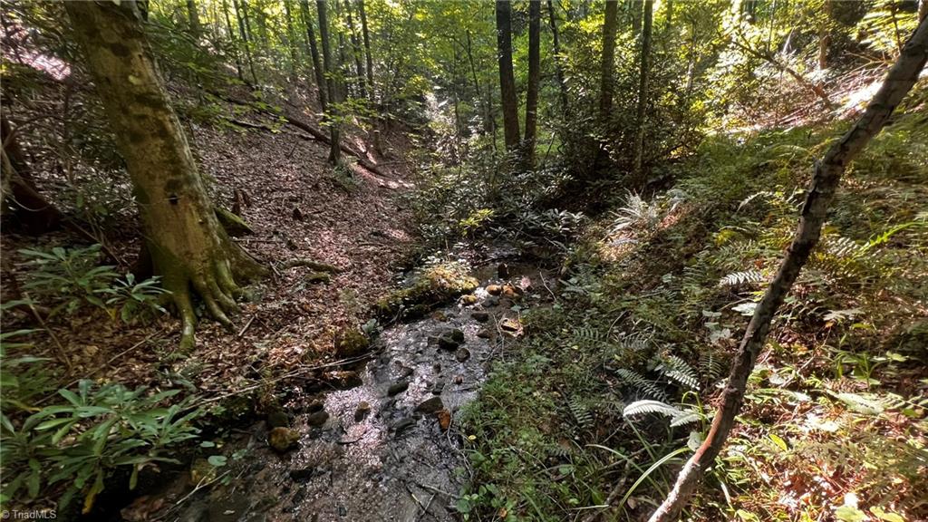 725 Caseys Branch Road Purlear, NC 28665 - Photo 4 of 30