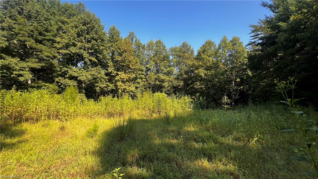 725 Caseys Branch Road Purlear, NC 28665 - Photo 5 of 30