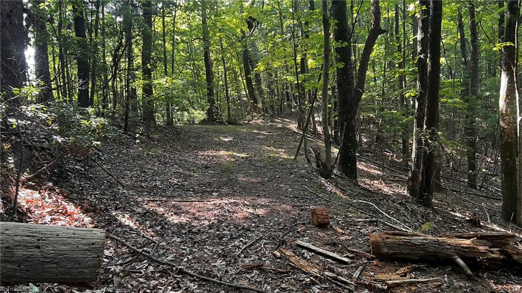 725 Caseys Branch Road Purlear, NC 28665 - Photo 6 of 30