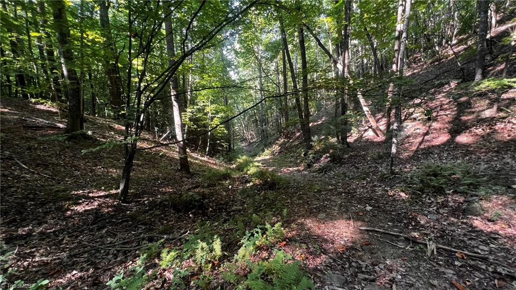 725 Caseys Branch Road Purlear, NC 28665 - Photo 7 of 30