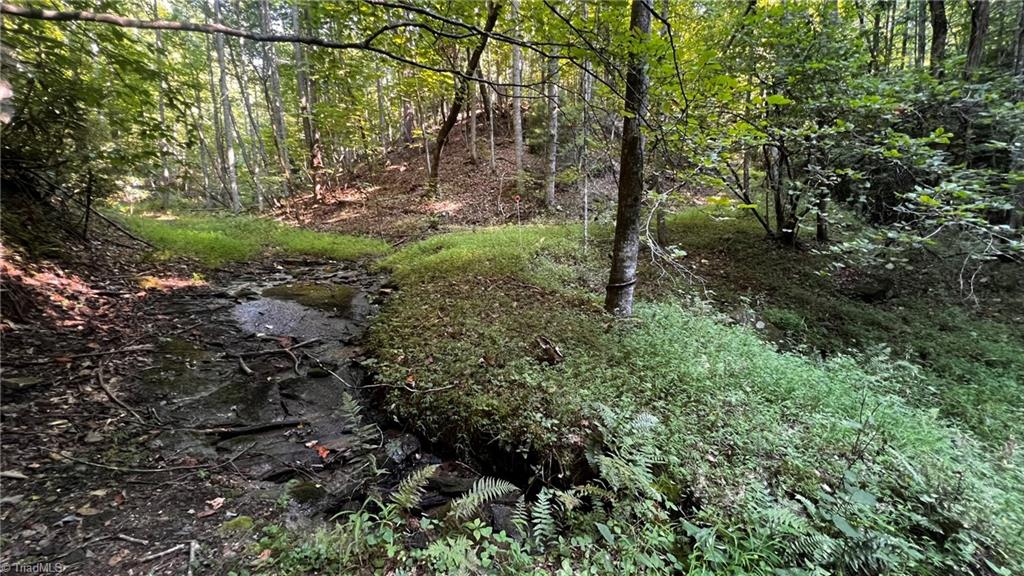 725 Caseys Branch Road Purlear, NC 28665 - Photo 8 of 30