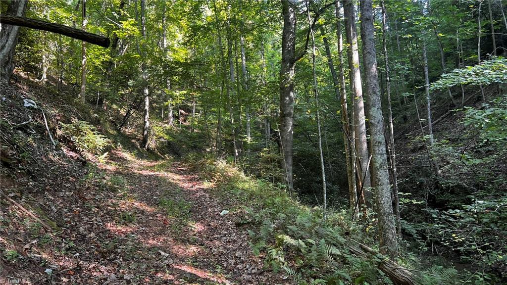 725 Caseys Branch Road Purlear, NC 28665 - Photo 9 of 30