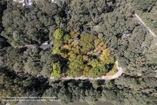 a view of a dry yard with green space