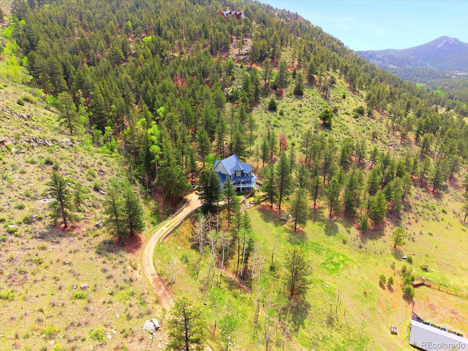 1458 Crow Creek Road Bailey, CO 80421 - Photo 39 of 41