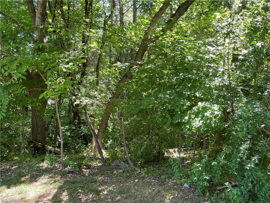 0 Thompson Road Graham, NC 27253 - Photo 8 of 10 Gallery Image 8