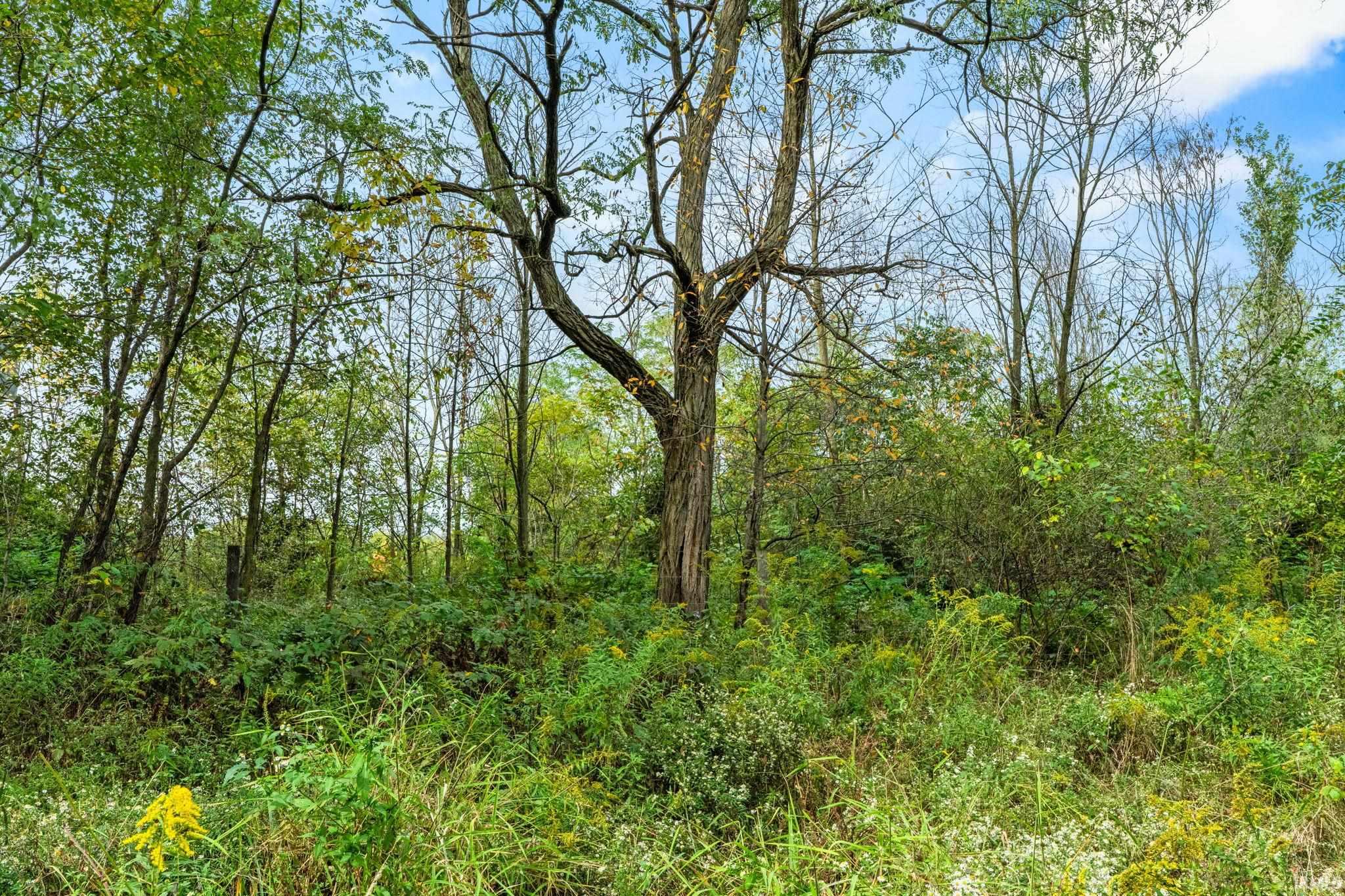 18015 McNabb Road Spencerville, IN 46788 - Photo 28 of 31