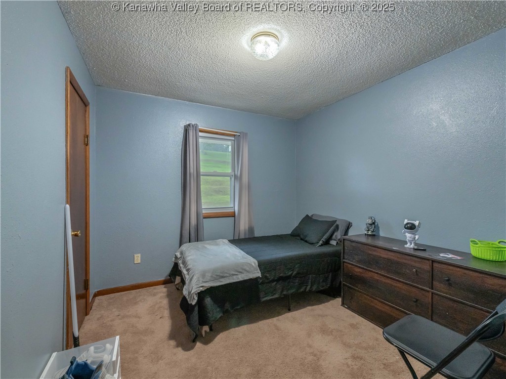 67 Silver Hills Road Ravenswood, WV 26164 - Photo 13 of 26 Gallery Image 13