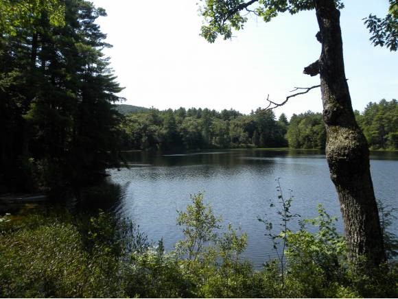 42 Barville Pond Road Sandwich, NH 03227 - Photo 1 of 1 Gallery Image 1