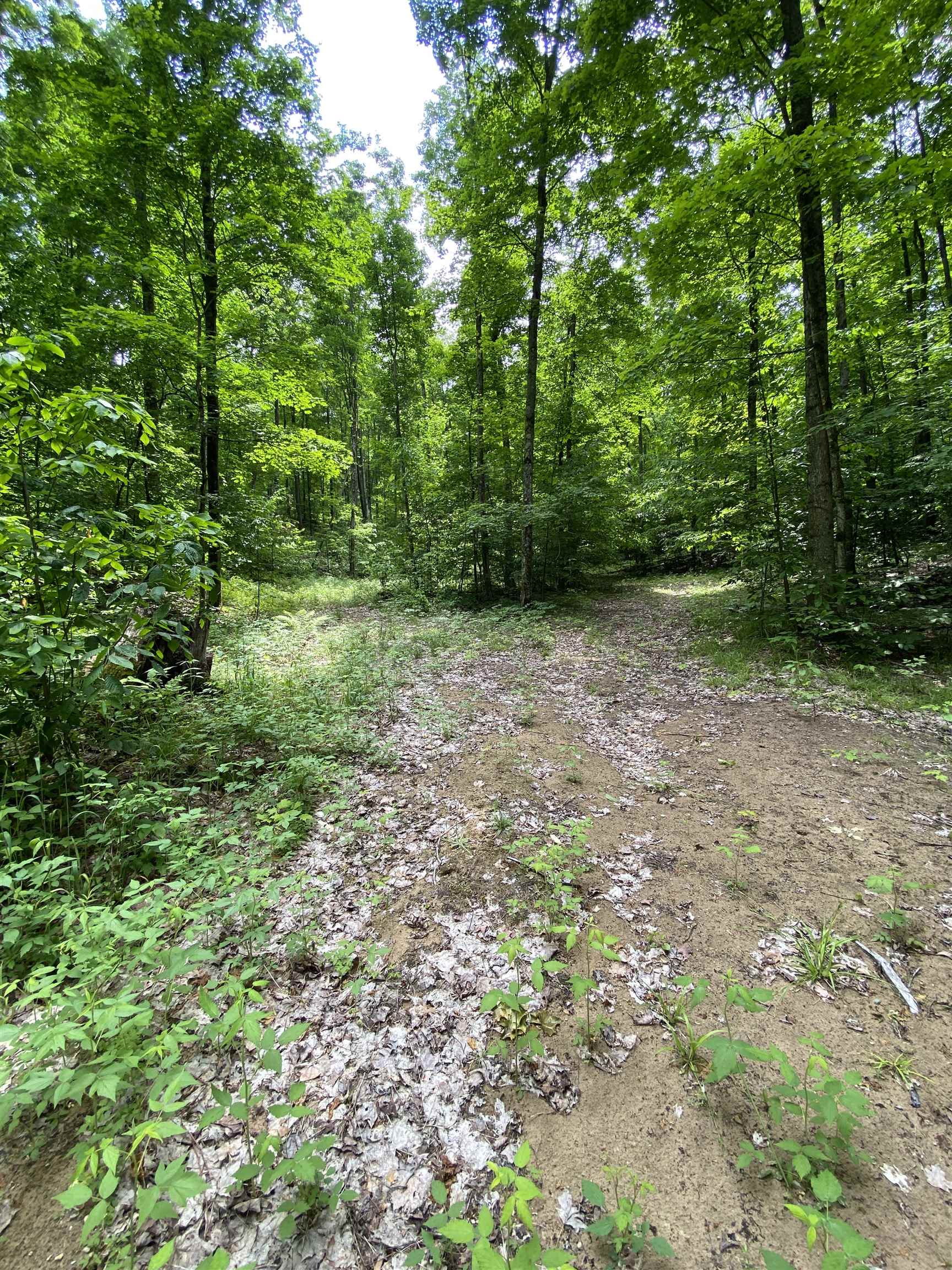 3 Stark Road, Unit LOT: 3 Mancelona, MI 49659 - Photo 13 of 26