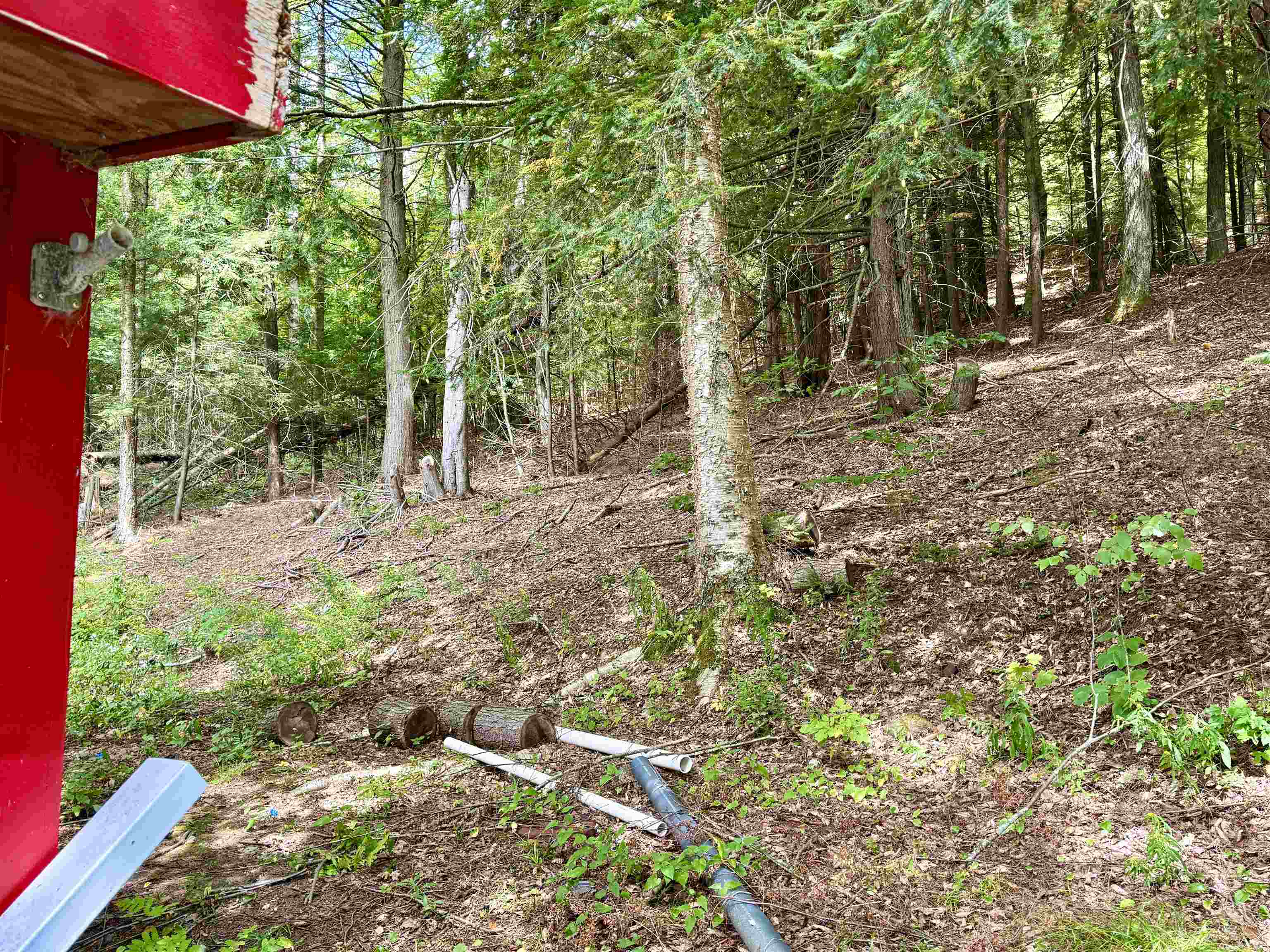 1594 White Road Corinth, VT 05039 - Photo 5 of 15