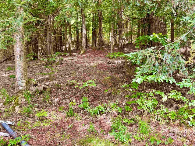 $55,000 | 1594 White Road, Corinth, VT 05039