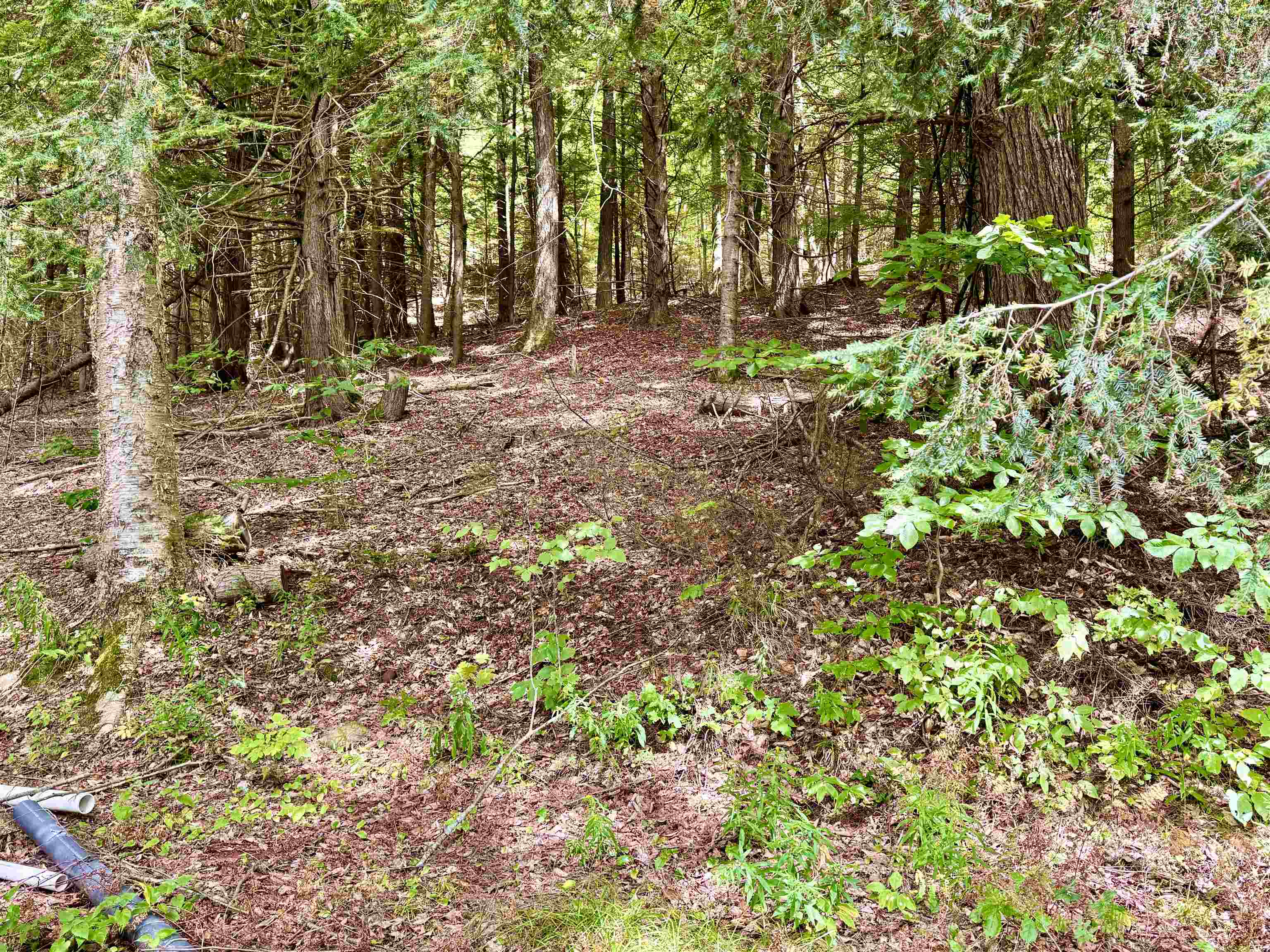 1594 White Road Corinth, VT 05039 - Photo 8 of 15