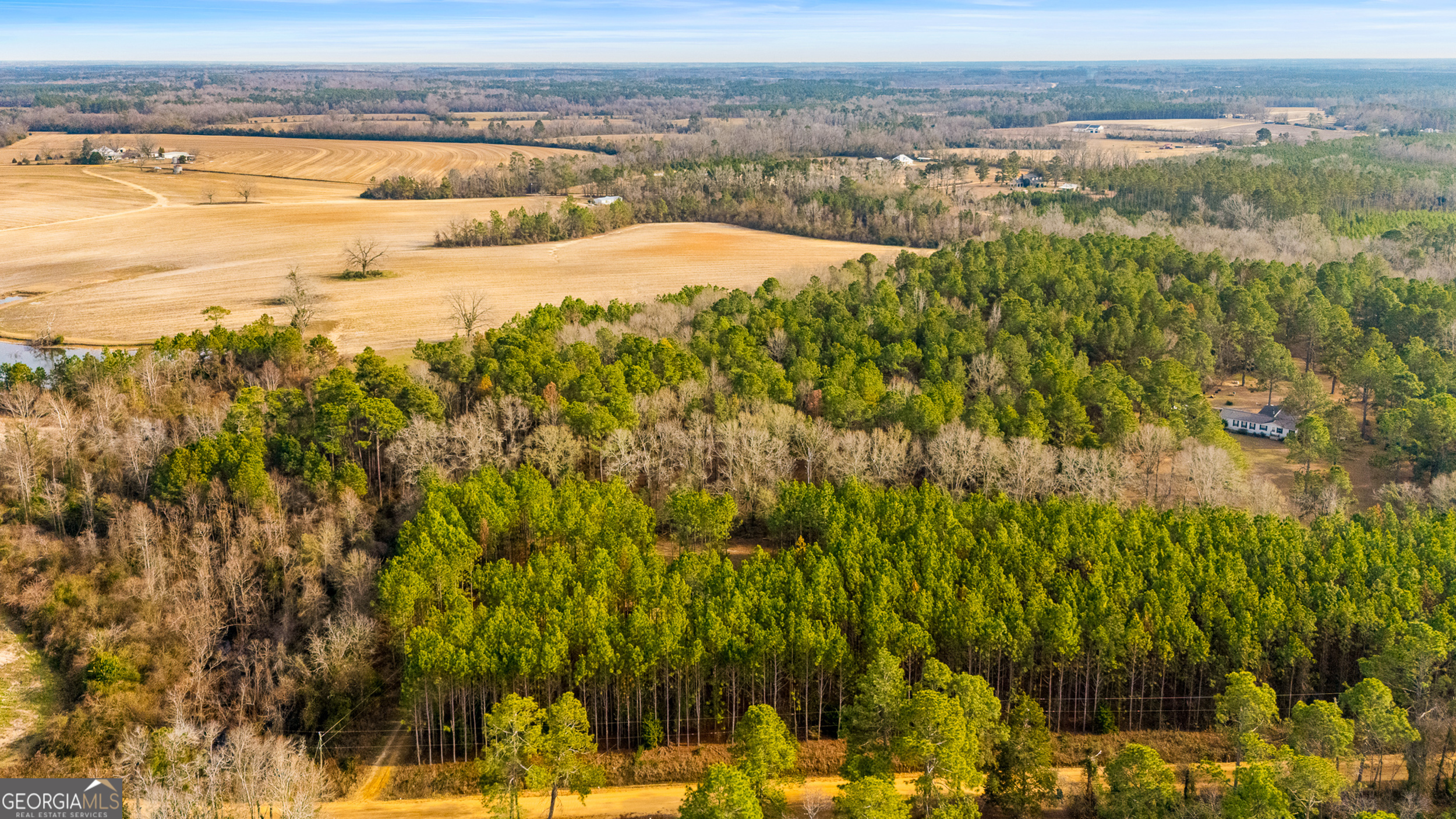 646 Bonnett Road Portal, GA 30450 - Photo 18 of 22