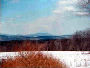 453 Highway 63 Chesterfield, NH 03443 - Photo 2 of 2 Gallery Image 2