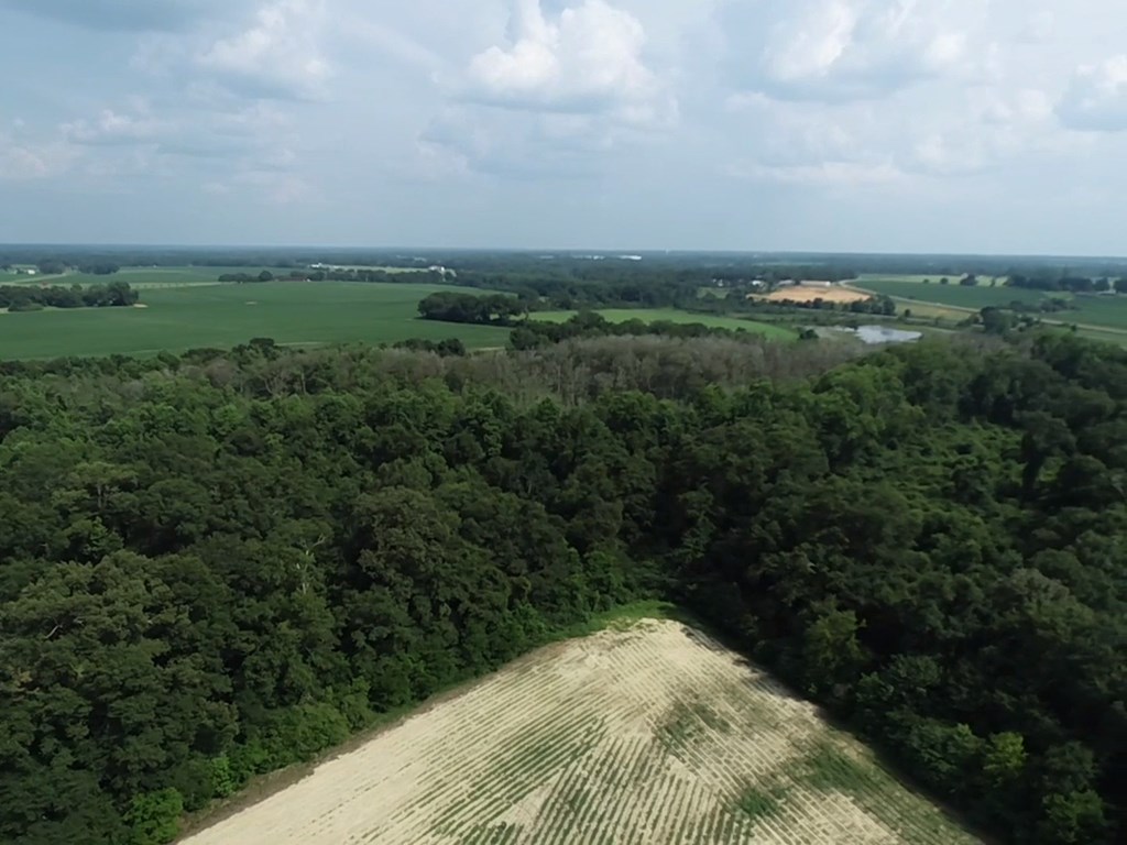 132.3-ac Green Road Dothan, AL 36303 - Photo 14 of 63