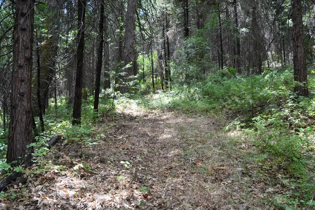 $239,000 | 0 Lodestone Road, Somerset, CA 95684