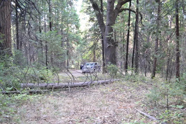 a view of outdoor space and green space