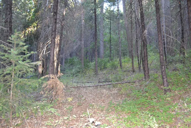 a view of outdoor space and green space