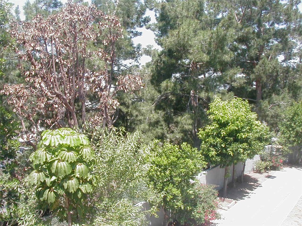 27857 Ruby, Unit 63 Mission Viejo, CA 92691 - Photo 22 of 28