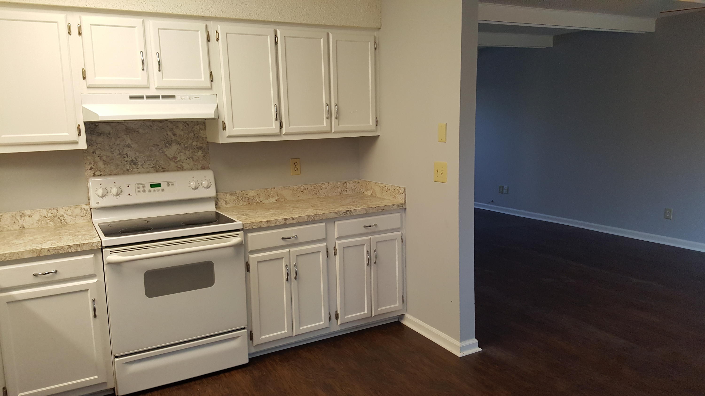 1018 Red Pines Road Ladson, SC 29456 - Photo 11 of 18 Red Pines kitchen stove and LR