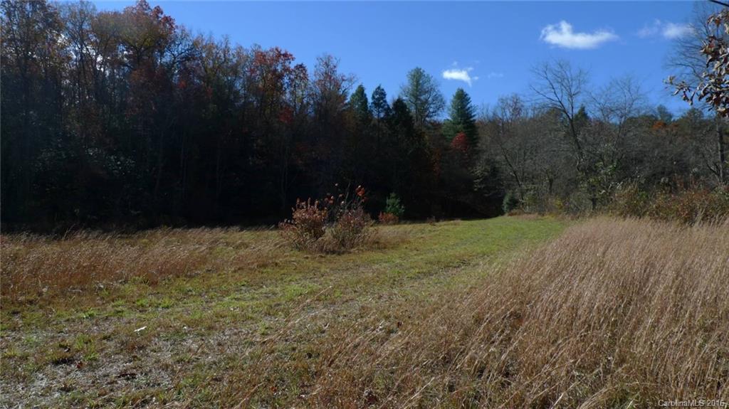 Tbd East Fork Road Rosman, NC 28772 - Photo 3 of 13 Gallery Image 3