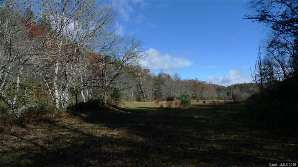 Tbd East Fork Road Rosman, NC 28772 - Photo 4 of 13 Gallery Image 4