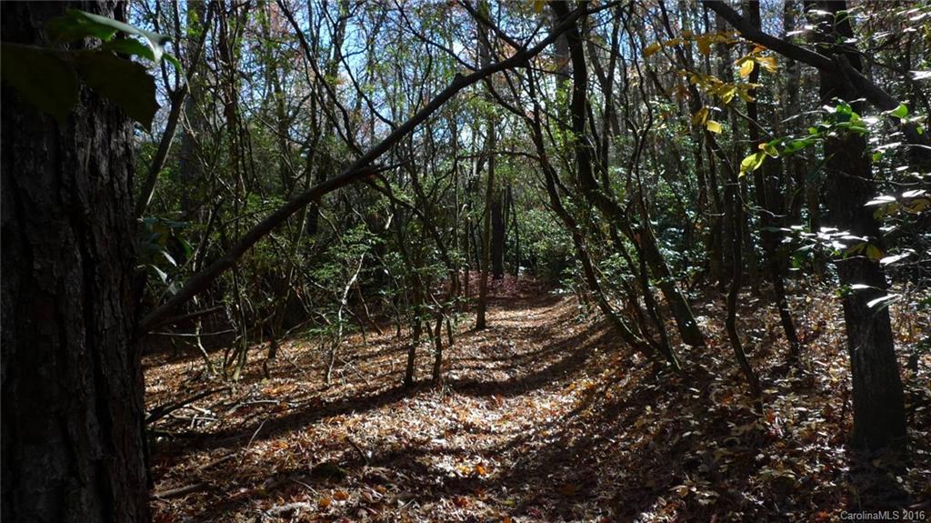 Tbd East Fork Road Rosman, NC 28772 - Photo 9 of 13 Gallery Image 9