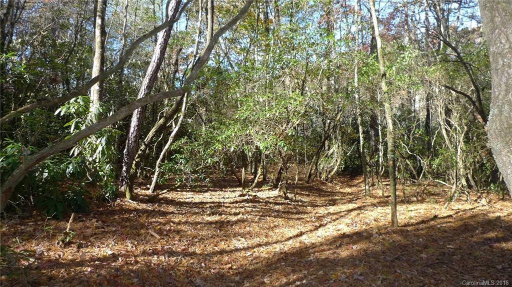 Tbd East Fork Road Rosman, NC 28772 - Photo 10 of 13 Gallery Image 10