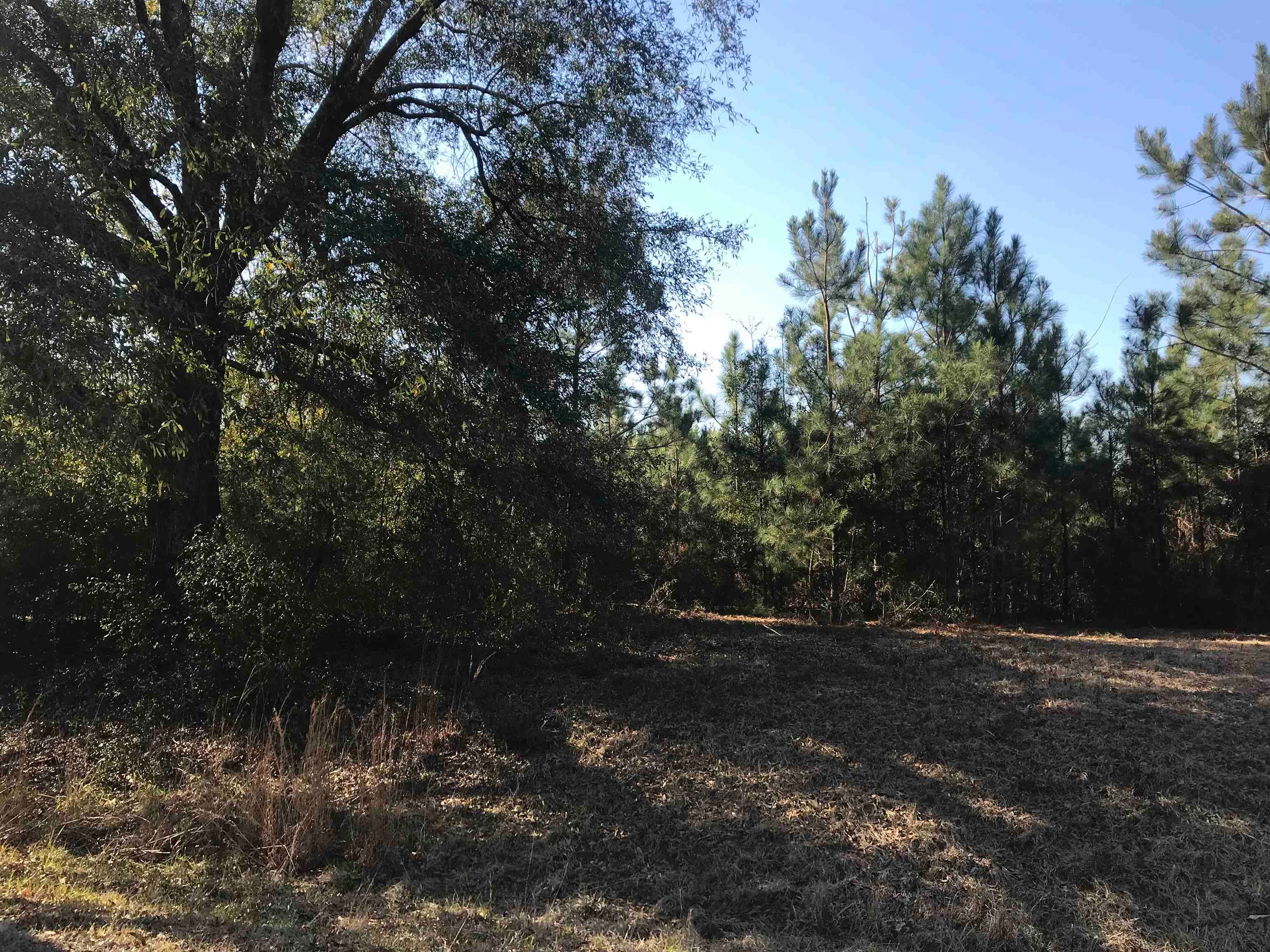 22-ac Hesters Store Road Red Level, AL 36474 - Photo 5 of 7 Gallery Image 5