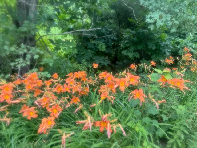 $139,900 | 286 Upper Hostile Valley Road, Liberty, ME 04949