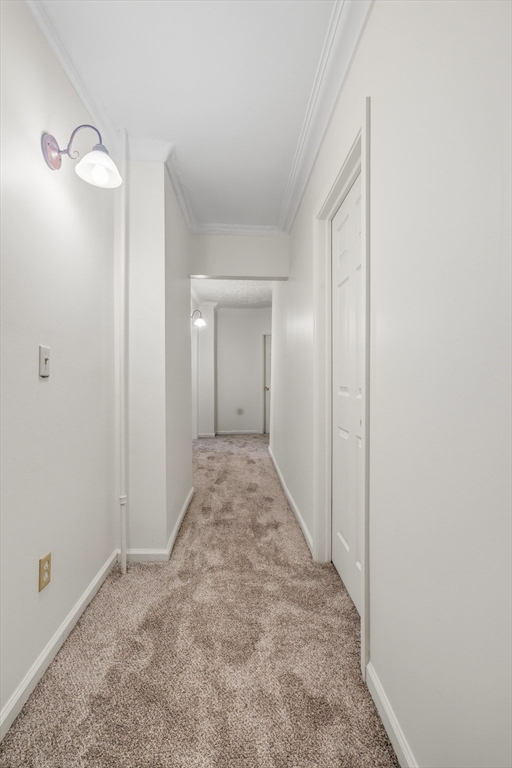 1391-1391 Worcester Street, Unit 1 Springfield, MA 01151 - Photo 17 of 18